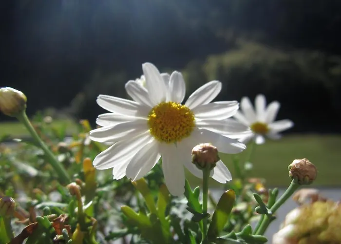 Andrea Apartman Ischgl