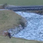 Andrea * Ischgl